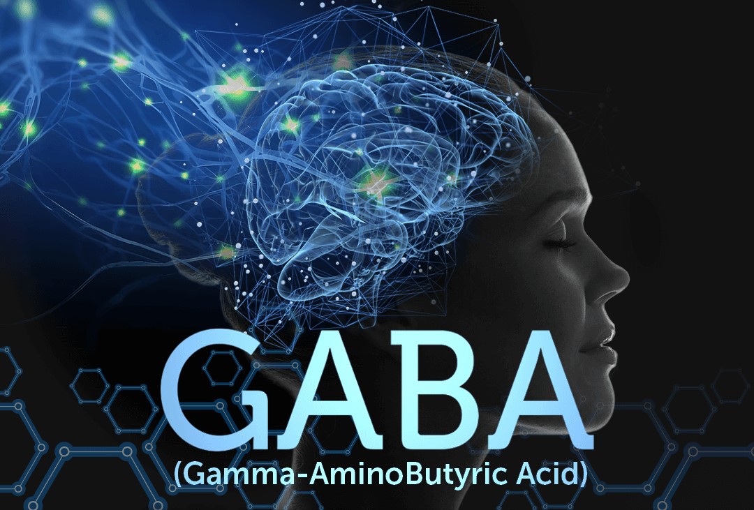 GABA: The Brain’s Calming Neurotransmitter and Its Impact on Health
